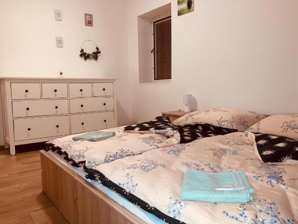 Apartmany Ceska Kanada Český Rudolec エクステリア 写真